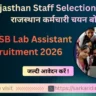 RSMSSB Lab Assistant Recruitment 2026